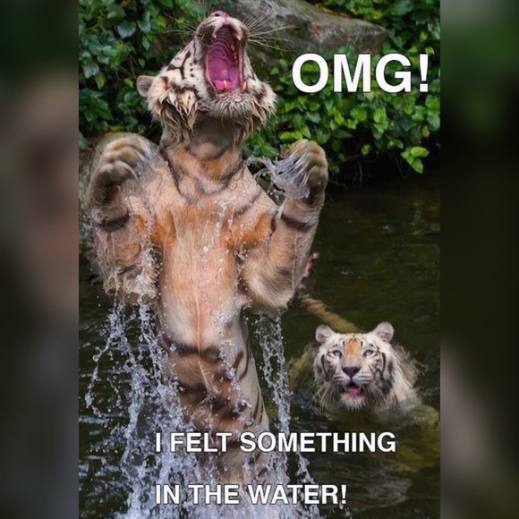 Any removal requests? No hard feelings! Lemme know! Updating list!TAGLIST SIGNUP - Picture 9 of 12